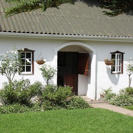 דורבן Caladdi Bed And Breakfast מראה חיצוני תמונה