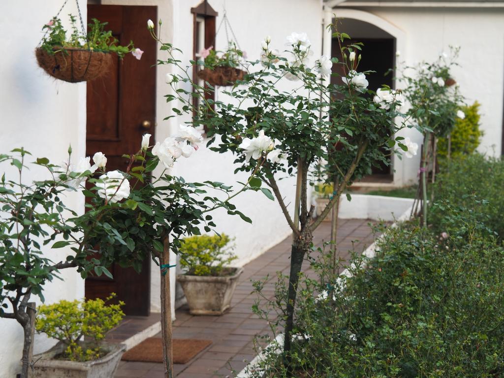 דורבן Caladdi Bed And Breakfast מראה חיצוני תמונה