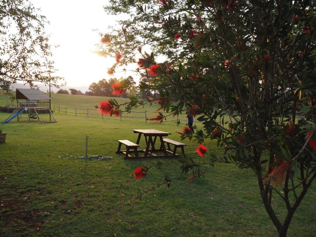 דורבן Caladdi Bed And Breakfast מראה חיצוני תמונה